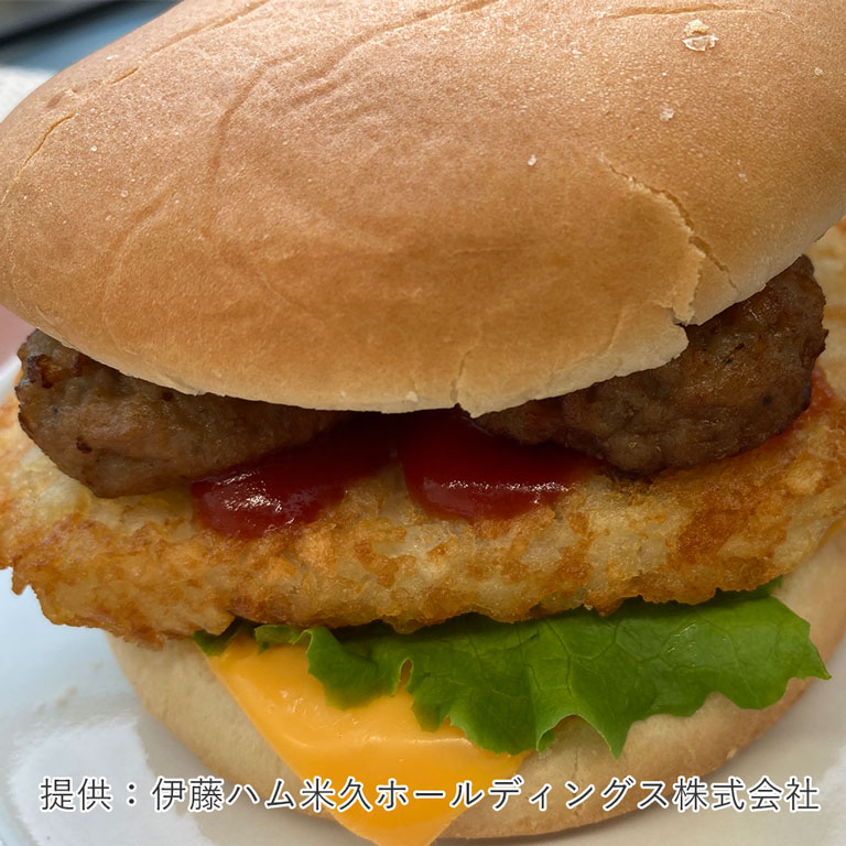 FROZEN PRO ハンバーグ30・60の製品画像
